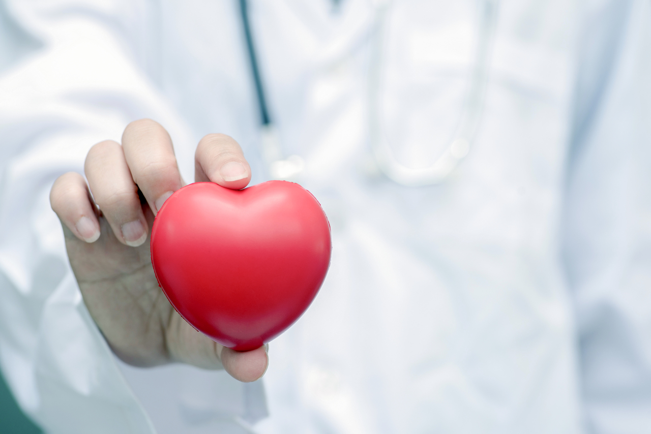 A doctor holding a heart